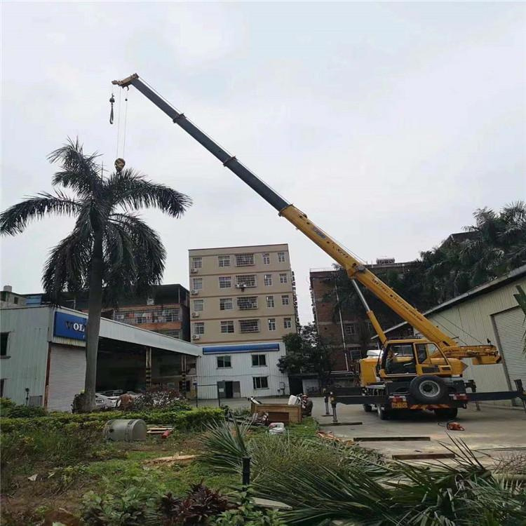 连州汽车吊出租多少钱？全面解析与市场行情